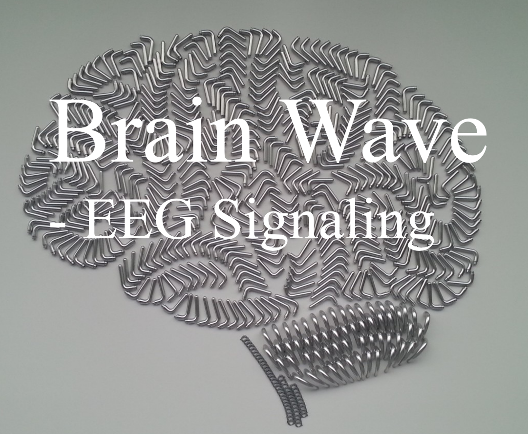 Brain Electroencephalography Signaling